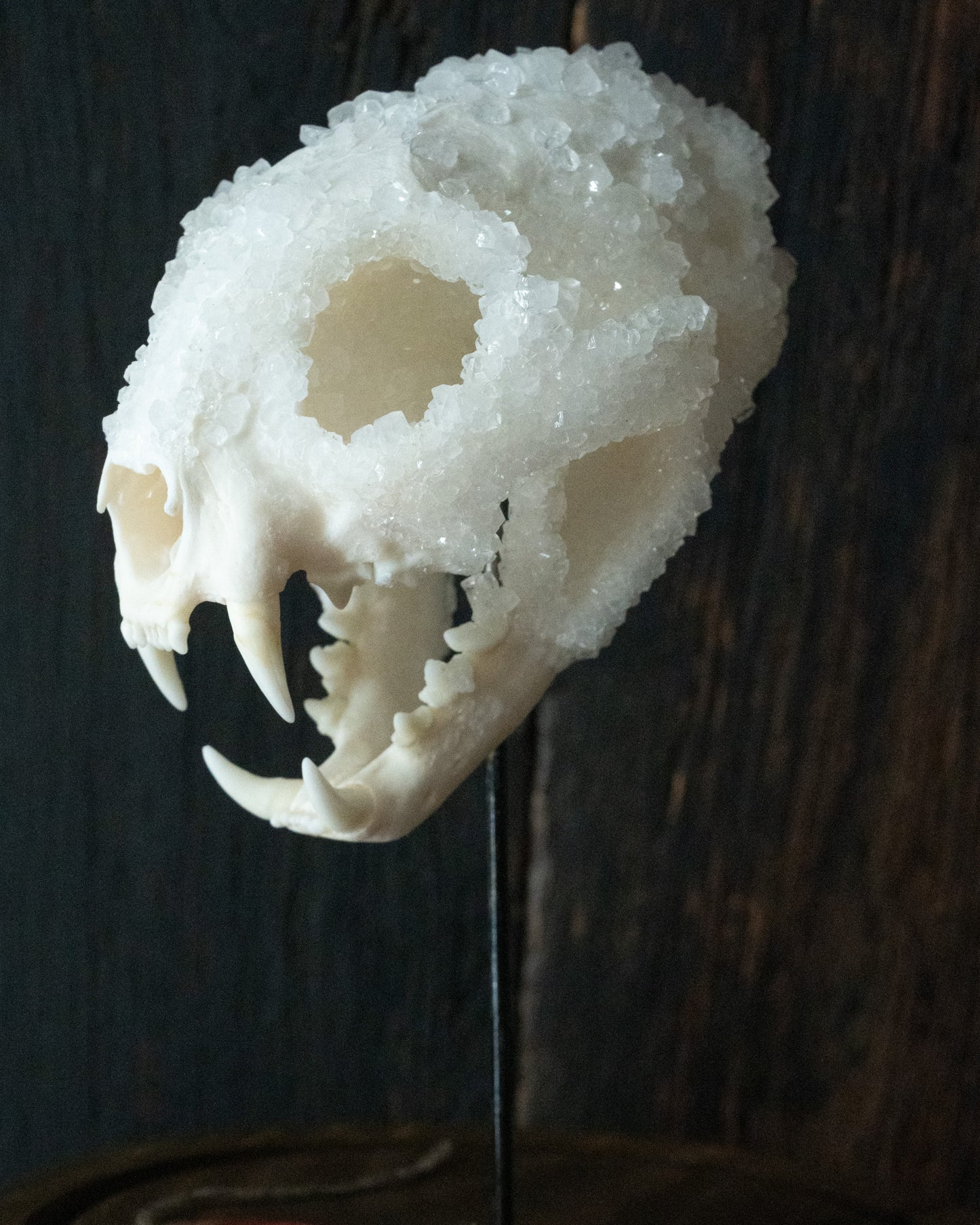 Crystal Skull 'Chaak'