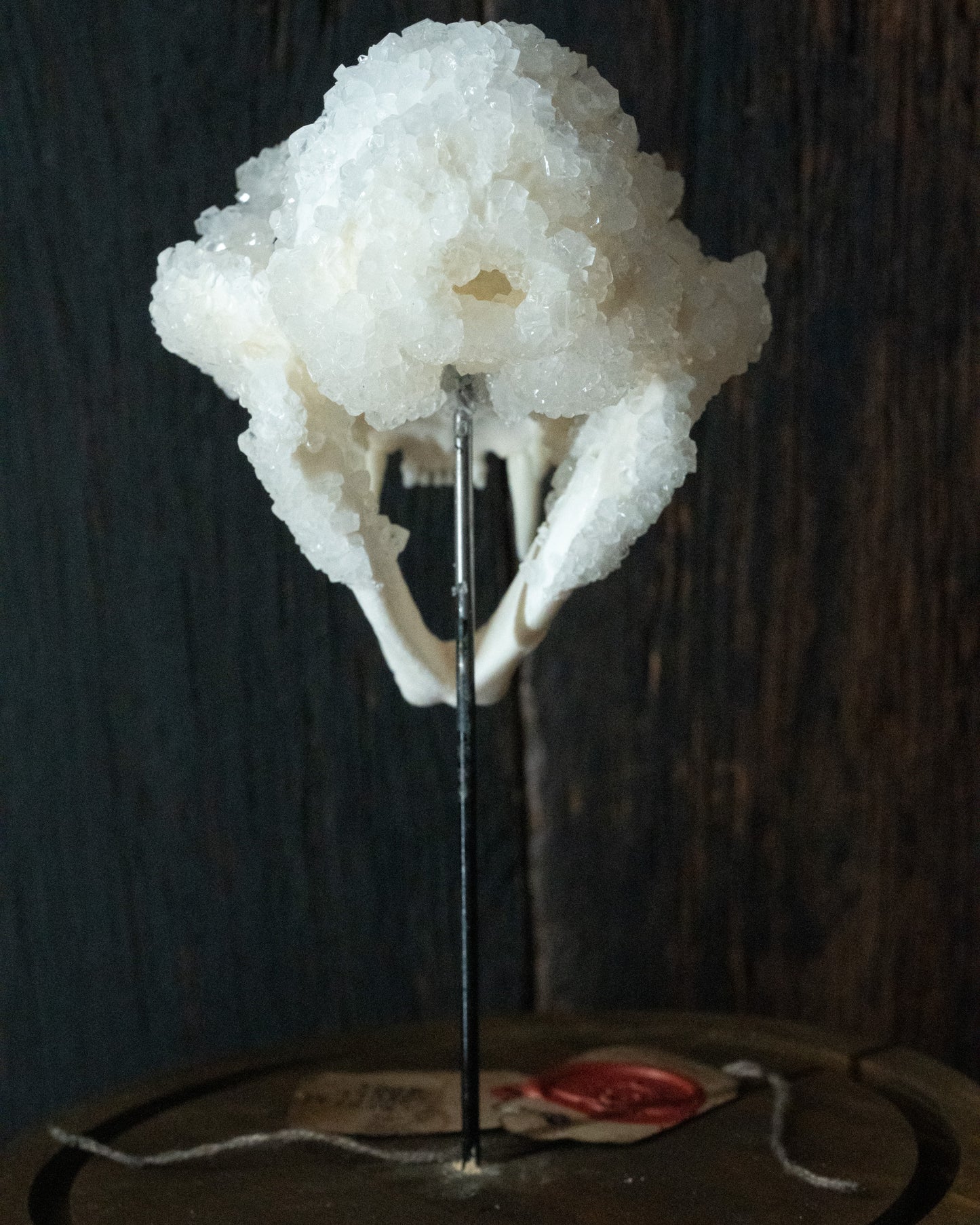 Crystal Skull 'Chaak'