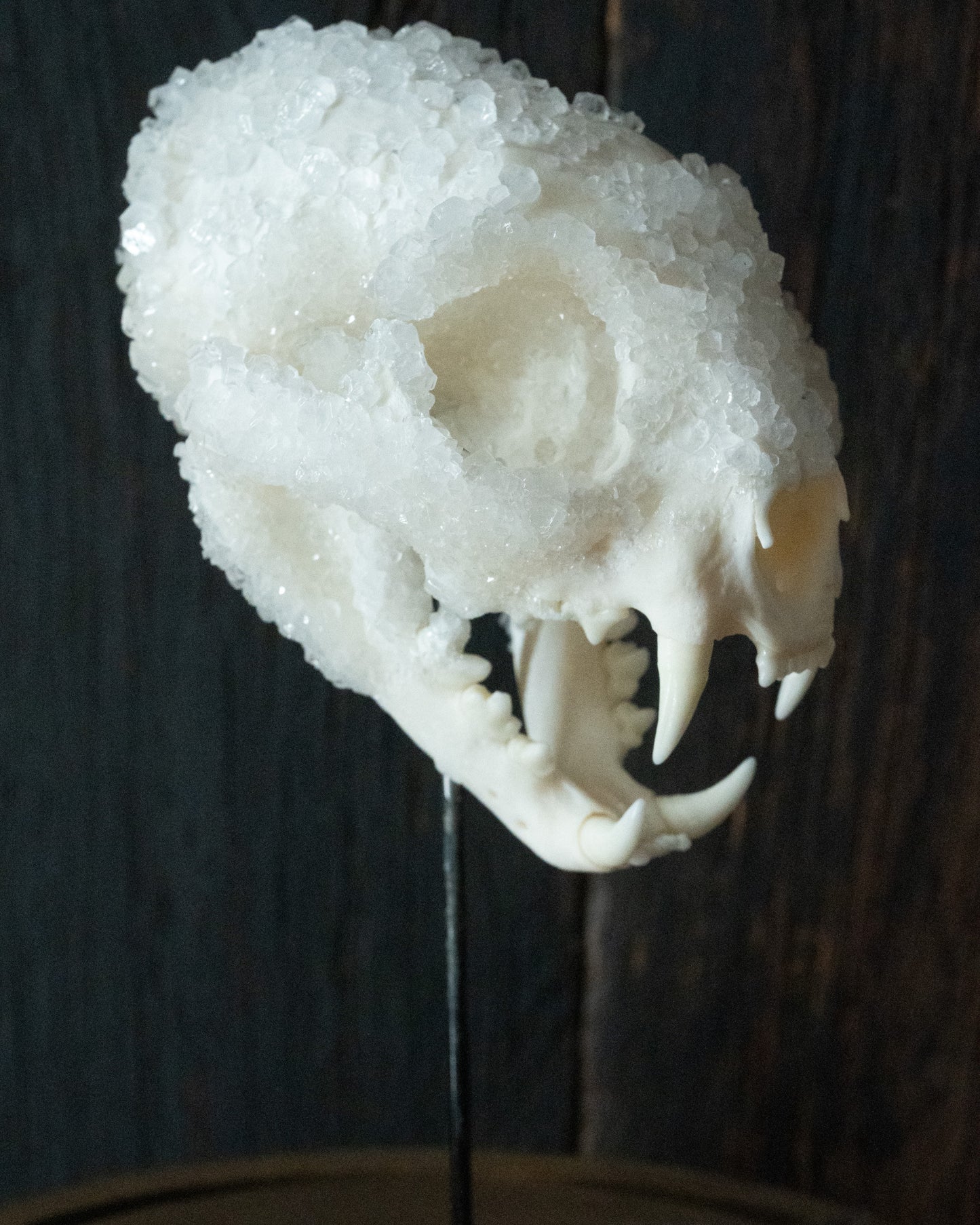 Crystal Skull 'Chaak'