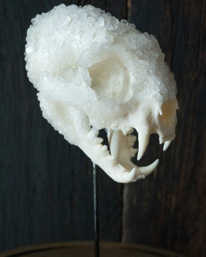 Crystal Skull 'Chaak'